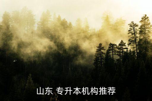 山科院專升本報(bào)名電話,濟(jì)南山科院專升本培訓(xùn)學(xué)校