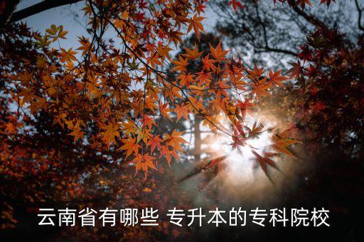  云南省有哪些 專升本的?？圃盒? class=