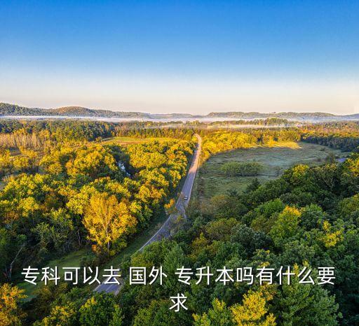 ?？瓶梢匀?國外 專升本嗎有什么要求