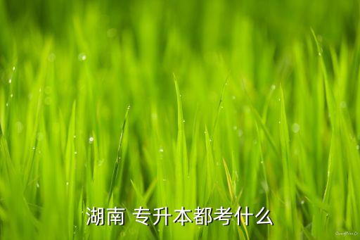 2015年專(zhuān)升本的政治題