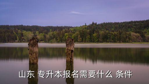  山東 專升本報名需要什么 條件