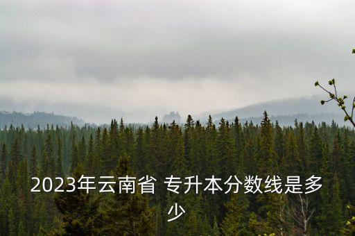 2023年云南省 專升本分數線是多少