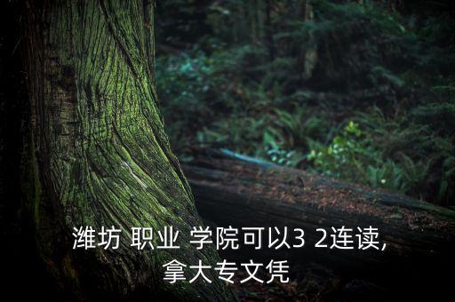  濰坊 職業(yè) 學(xué)院可以3 2連讀,拿大專(zhuān)文憑