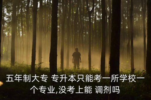 五年制大專 專升本只能考一所學(xué)校一個(gè)專業(yè),沒(méi)考上能 調(diào)劑嗎