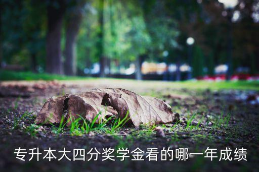  專升本大四分獎學(xué)金看的哪一年成績
