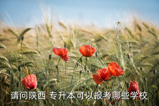 請問陜西 專升本可以報(bào)考哪些學(xué)校