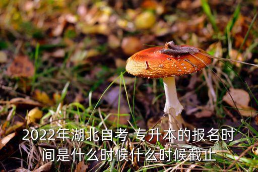 2022年湖北自考 專升本的報名時間是什么時候什么時候截止