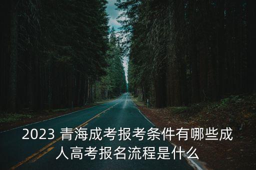2023 青海成考報(bào)考條件有哪些成人高考報(bào)名流程是什么