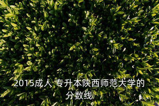 2015成人 專(zhuān)升本陜西師范大學(xué)的分?jǐn)?shù)線(xiàn)