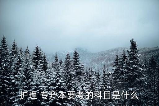 護理 專升本要考的科目是什么