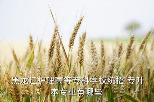  黑龍江護(hù)理高等專科學(xué)校統(tǒng)招 專升本專業(yè)有哪些