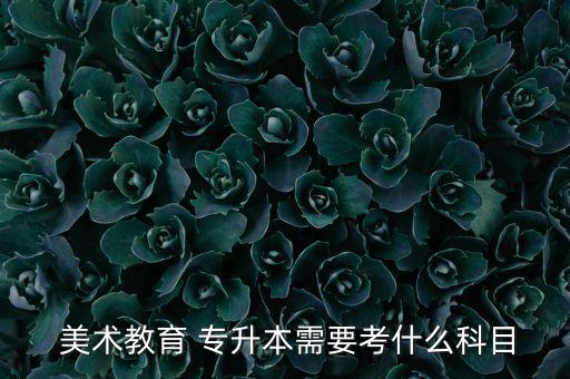 美術(shù)專(zhuān)升本專(zhuān)業(yè)有哪些,安徽美術(shù)專(zhuān)升本的學(xué)校有哪些