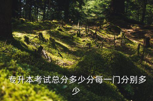 貴州專(zhuān)升本專(zhuān)業(yè)分滿分