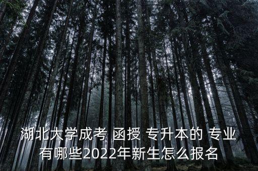 湖北大學成考 函授 專升本的 專業(yè)有哪些2022年新生怎么報名