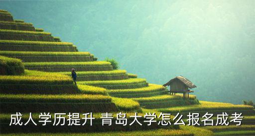 青島專升本報(bào)考,河南專升本可以報(bào)考哪些大學(xué)