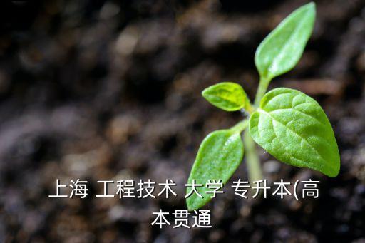  上海 工程技術 大學 專升本(高本貫通