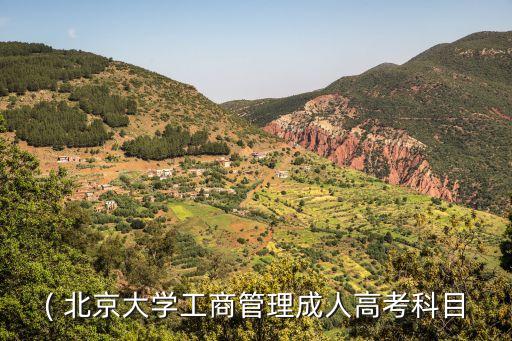 ( 北京大學工商管理成人高考科目