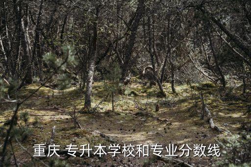 重慶師范專升本好考嗎,重慶第二師范專升本分?jǐn)?shù)線2021