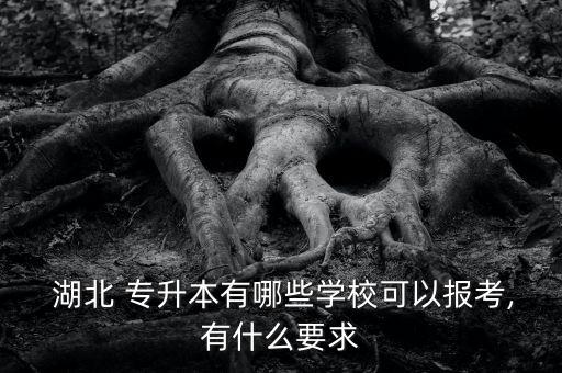  湖北 專升本有哪些學(xué)?？梢詧?bào)考,有什么要求