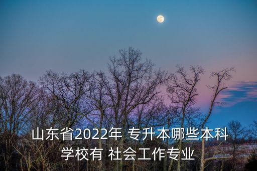  山東省2022年 專升本哪些本科學(xué)校有 社會工作專業(yè)