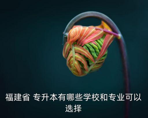 福建省 專升本有哪些學(xué)校和專業(yè)可以選擇