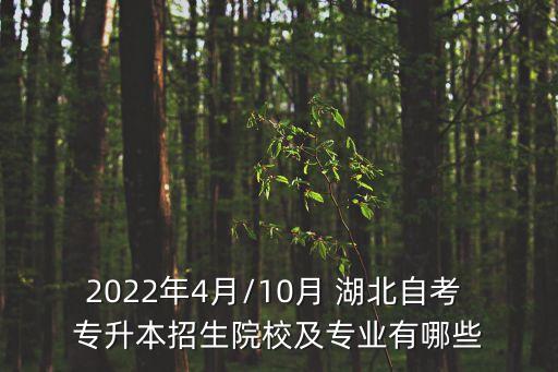 湖北理工學(xué)院專升本 土木工程