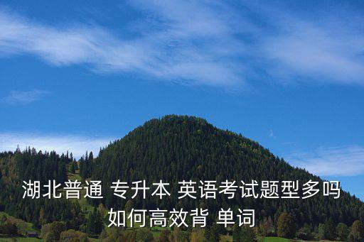 專(zhuān)升本英語(yǔ)常用單詞,英語(yǔ)專(zhuān)升本3800個(gè)單詞表