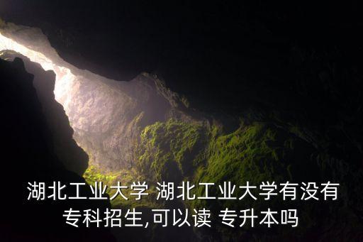  湖北工業(yè)大學(xué) 湖北工業(yè)大學(xué)有沒有?？普猩?可以讀 專升本嗎