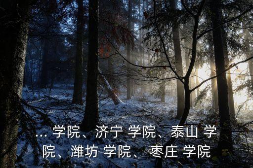 ... 學(xué)院、濟寧 學(xué)院、泰山 學(xué)院、濰坊 學(xué)院、 棗莊 學(xué)院