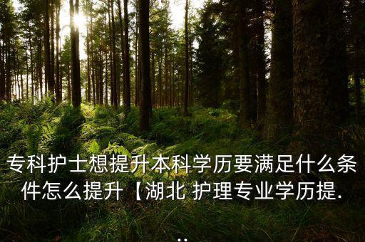 ?？谱o(hù)士想提升本科學(xué)歷要滿足什么條件怎么提升【湖北 護(hù)理專業(yè)學(xué)歷提...