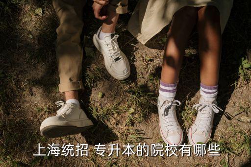 上海專升本?？拼髮W(xué),四川公辦專升本的?？拼髮W(xué)有哪些