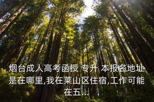 煙臺成人高考函授 專升 本報名地址是在哪里,我在萊山區(qū)住宿,工作可能在五...