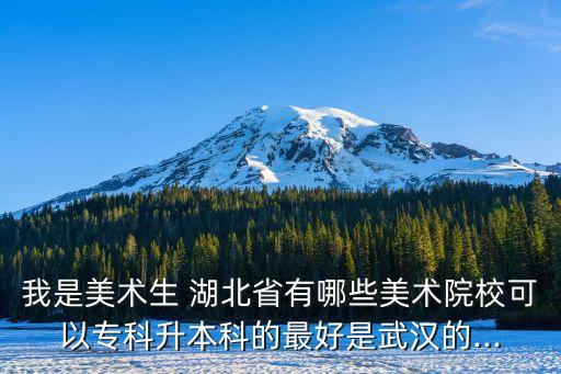 我是美術(shù)生 湖北省有哪些美術(shù)院?？梢詫？粕究频淖詈檬俏錆h的...