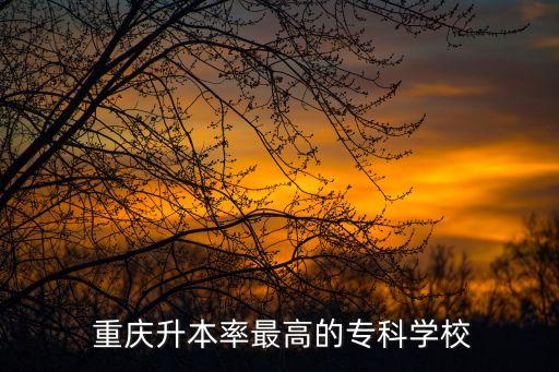  重慶升本率最高的?？茖W(xué)校