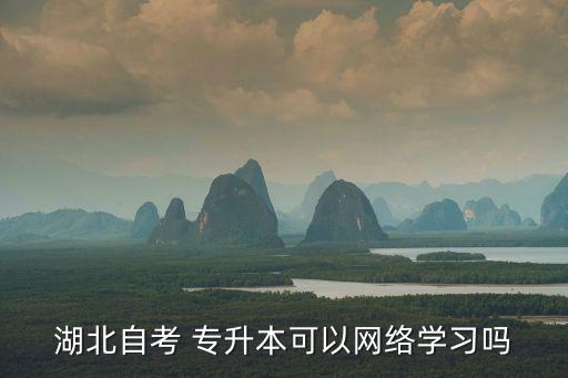 湖北自考 專升本可以網(wǎng)絡(luò)學(xué)習(xí)嗎