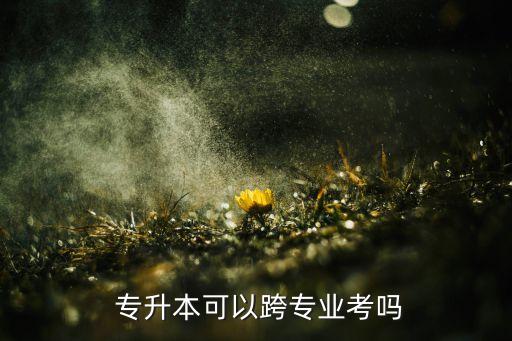 專升本北京語言大學,北京語言大學專升本分數線