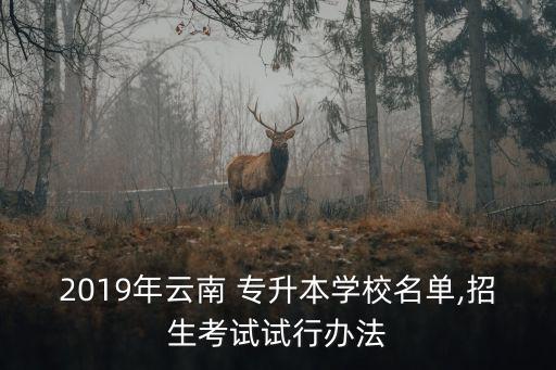 2019年云南 專(zhuān)升本學(xué)校名單,招生考試試行辦法