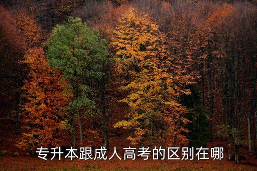  專(zhuān)升本跟成人高考的區(qū)別在哪