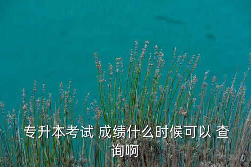  專(zhuān)升本考試 成績(jī)什么時(shí)候可以 查詢(xún)啊