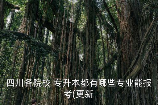 四川各院校 專升本都有哪些專業(yè)能報(bào)考(更新