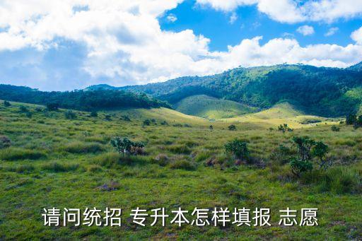請(qǐng)問統(tǒng)招 專升本怎樣填報(bào) 志愿