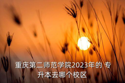  重慶第二師范學院2023年的 專升本去哪個校區(qū)