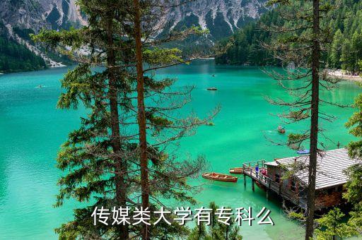  傳媒類(lèi)大學(xué)有?？泼? class=