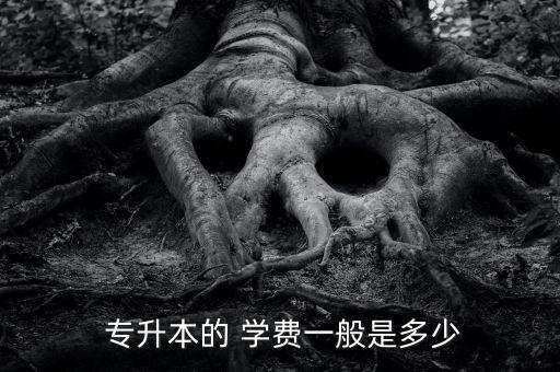 深圳遠(yuǎn)程教育專升本學(xué)費(fèi),專升本遠(yuǎn)程教育和函授哪個(gè)好