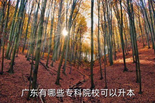  廣東有哪些專科院?？梢陨? class=