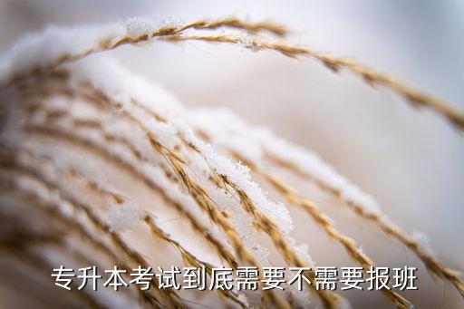  專(zhuān)升本考試到底需要不需要報(bào)班
