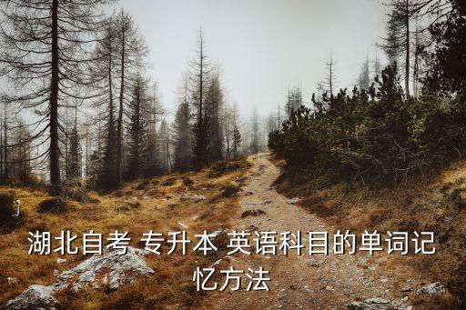 會(huì)計(jì)專升本英語(yǔ)詞匯