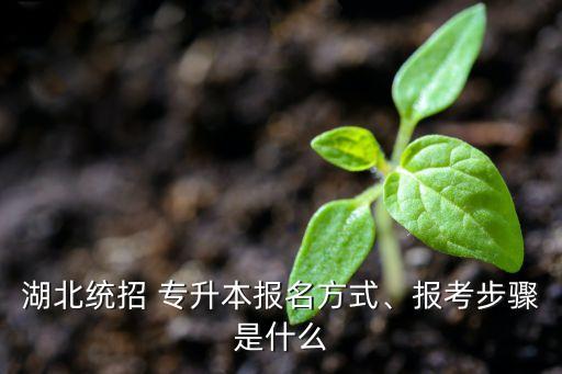 湖北統(tǒng)招 專升本報(bào)名方式、報(bào)考步驟是什么