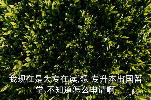 我現(xiàn)在是大專在讀,想 專升本出國留學,不知道怎么申請啊