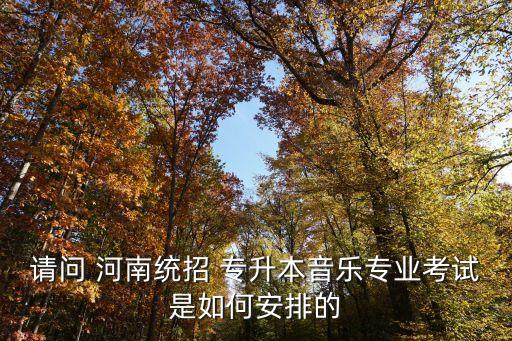 請(qǐng)問 河南統(tǒng)招 專升本音樂專業(yè)考試是如何安排的